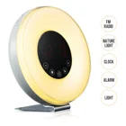 Light Fm HomePlus Factory Price Wholesale High Quality Baby Sleep Led Wake Up Light With FM Radio