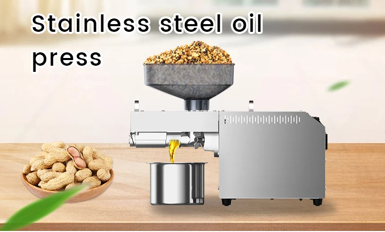 Philippines Coconut Baobab Seeds Canola Olive Pressing Stainless Steel