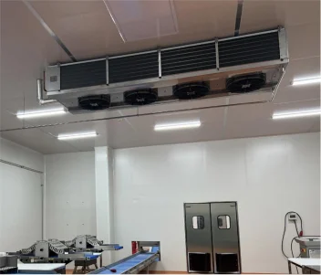 Cold Storage Air Cooler, 220 V - detail 10