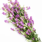 Floral 2020 China Hot Sale Background Floral Dried Flowers Decoration Wall With Branch Wedding Available