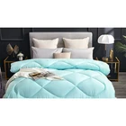 Comforter Solid Color Fluffy Hotel Bedding Comforter In Winter Polyester Bed Comforter Set