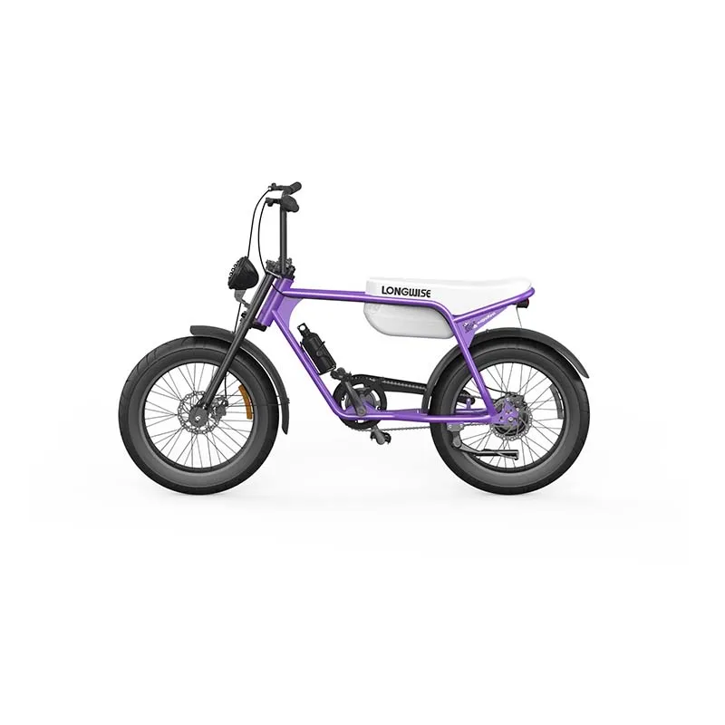 ebike 800w