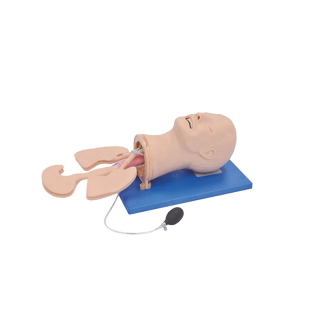 Multi Functional Airway Management Model Intubation And Suction