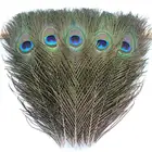 Feather Hot Sale 100-110cm Peacock Feather