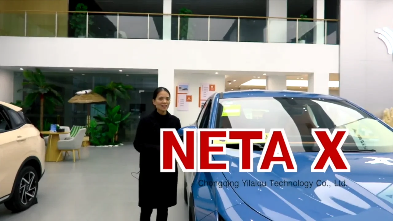 Fast Charging Fashion Electric Ev Compact Suv Neta X New