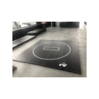 Wrestling 2021 New Promotion Judo Wrestling Mat Sport Floor Wrestling Mat