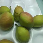 Export Fresh Pear Pearfresh Fruit Pear Top Quality Export Price Fresh Fruit Pear For Sale