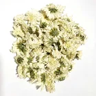 Good Quality Natural Florists Chrysanthemum Flower Tea