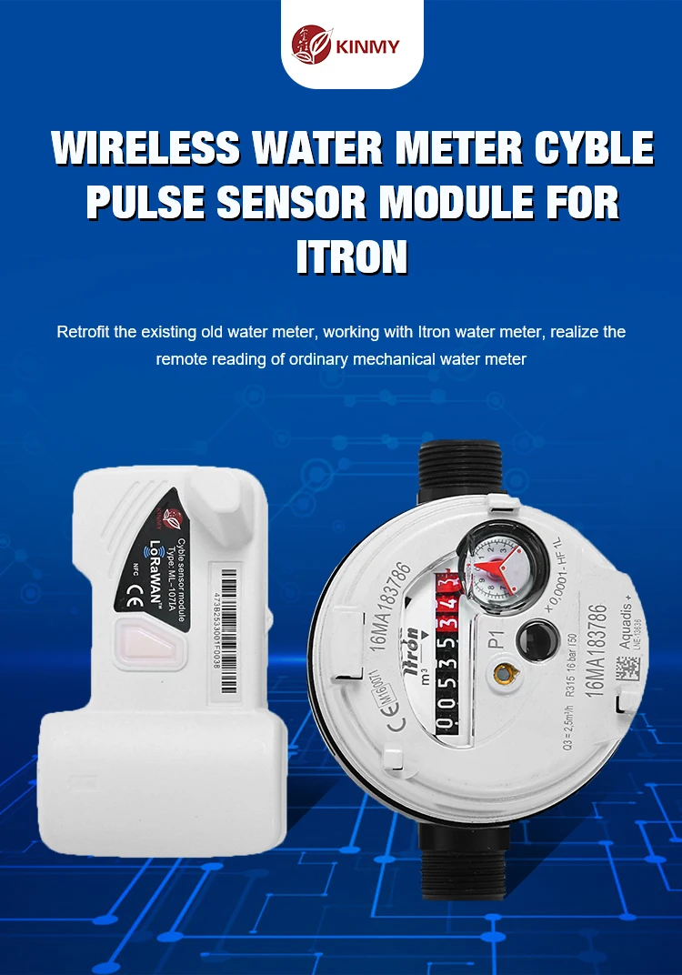 Lorawan Nb Iot M Bus Rs Cyble Itron Buy Lorawan Nb