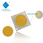 Chip 2828 1414 1919 4046 3838 High Power 5w 10w 30w 50w 100w 200w 36v White Full Spectrum SMD COB LED CHIP