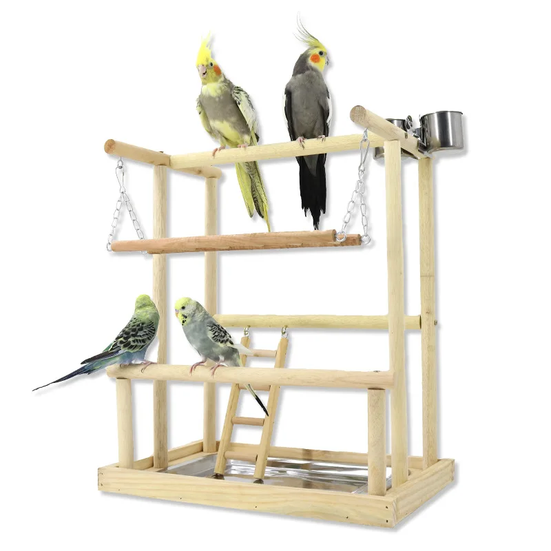 parrot joy bird toys