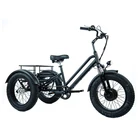 Electric Trike China Hot Selling Adult 3 Wheel Bike Electric Tricycles 750W 48V Li-ion Battery Trike