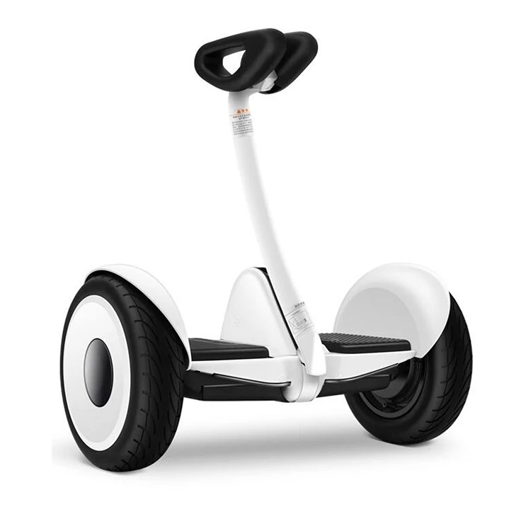 smart balance wheel 10 inch