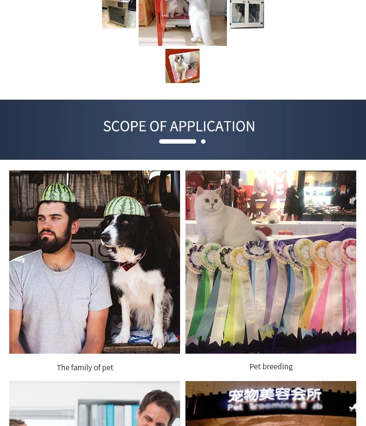 Eco-Friendly Automatic Voice Intelligent Silent Pet Dryer Dog Hair Dryer Beauty Blowing Hair Drying Box for Cat Dog Dry Room