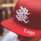 Logo 3d Puff Embroidery Mens Hats Snapback Caps 3d Embroidery Custom Logo Snapback Hat