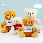 Plush Toy Plush Customised Logo Child Plush Toy Teddy Bear With T-shirt Wholesales Gifts 12 Inch Teddy Bear Stuffed Dolls