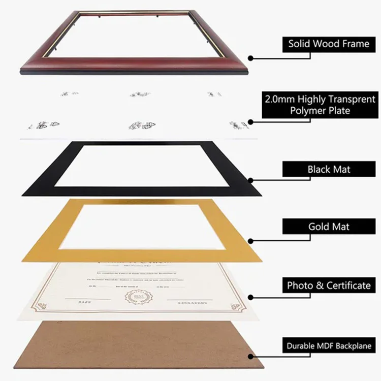 Gold Trim Detail View gold trim accent detail on double matted diploma frame