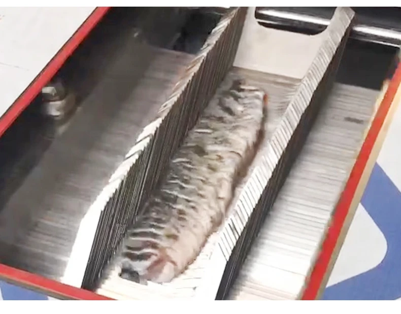 Automatic Sashimi Slicing Machine Fresh Meat & Fish Fillet Cutter Salmon Slices & Salmon Fillet Cutting Machine supplier