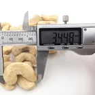 Top Grade Wholesale Cashew Nut Exporter Cashew Nuts Kernel Snack Own Planting Base OEM Available