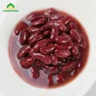 Bean Beans Canned Red Beans 2020 Hot Sale Canned Vegetable Fresh Canned Chinese Dark Red Kidney Bean