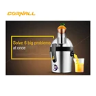 Fruit Champion Automatic Fruit Cmmercial Slow Electric Juicer Stainless Steel Fruit Juicer