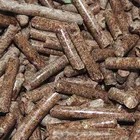 Sawdust Pellet Machine Competitive Prices Sawdust Wood Pellet Machine 1-1.5t/h