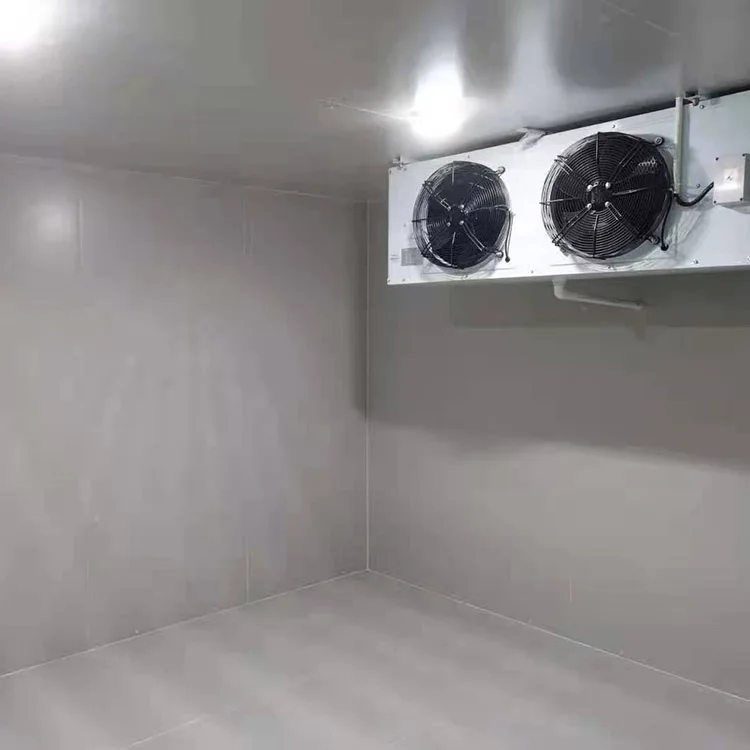 Blast Freezer, 20ft - detail 10
