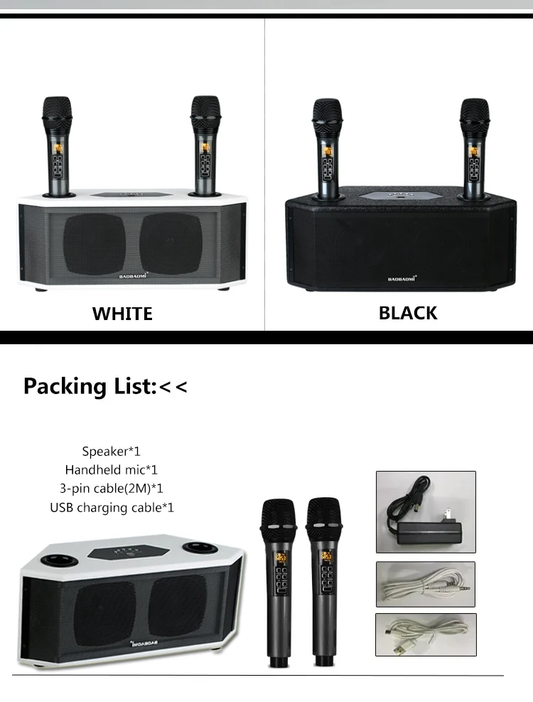 G6 Karaoke active DSP portable BT wireless speaker with microphone
