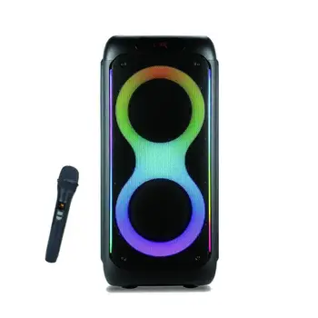 Dual 10 inch big big power portable outdoor party speaker with real RGB flame light speaker RX-1008