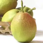 Pear High Quality Hot Selling Export Natural Fruit 2021 New Crop Chinese Nashi Pear