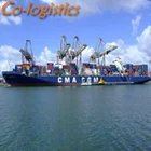 Warehousing Shipping Cargo Company DDP Sea Shipping Sea Cargos Shipping To Worldwide/USA/UK/Europe