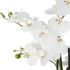 Wedding Wedding Real Touch Artificial Orchid Pot For Home Wedding Decoration