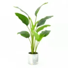 Tree Trees Win Young 2021 Hot Sale Cheap Indoor Decorative Artificial Plants Artificial Tree