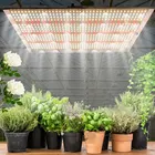 Fast Shipping Waterproof LED Grow Light With US Plug 480W Replacement 1000W HPS Plant growth light