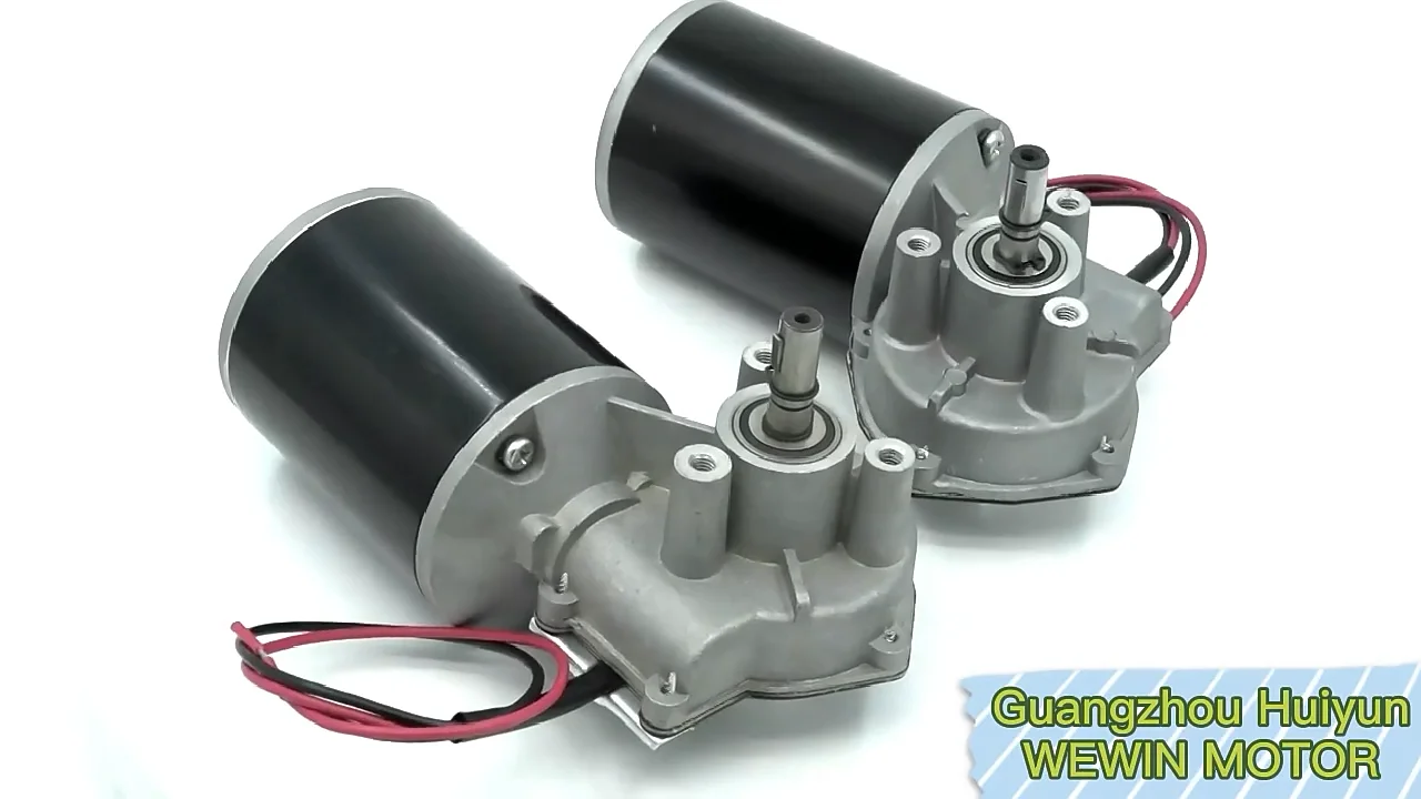 Custom Mm V V V W W W Nm Geared High Torque Dc Motor