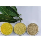 Manggo Leaf Extract Mangiferin 95% Powder 4773-96-0