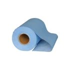 Wholesale Sample Price 55% Woodpulp 45% Polyester Spunlace Nonwoven Disposable Floor Wipes Mop