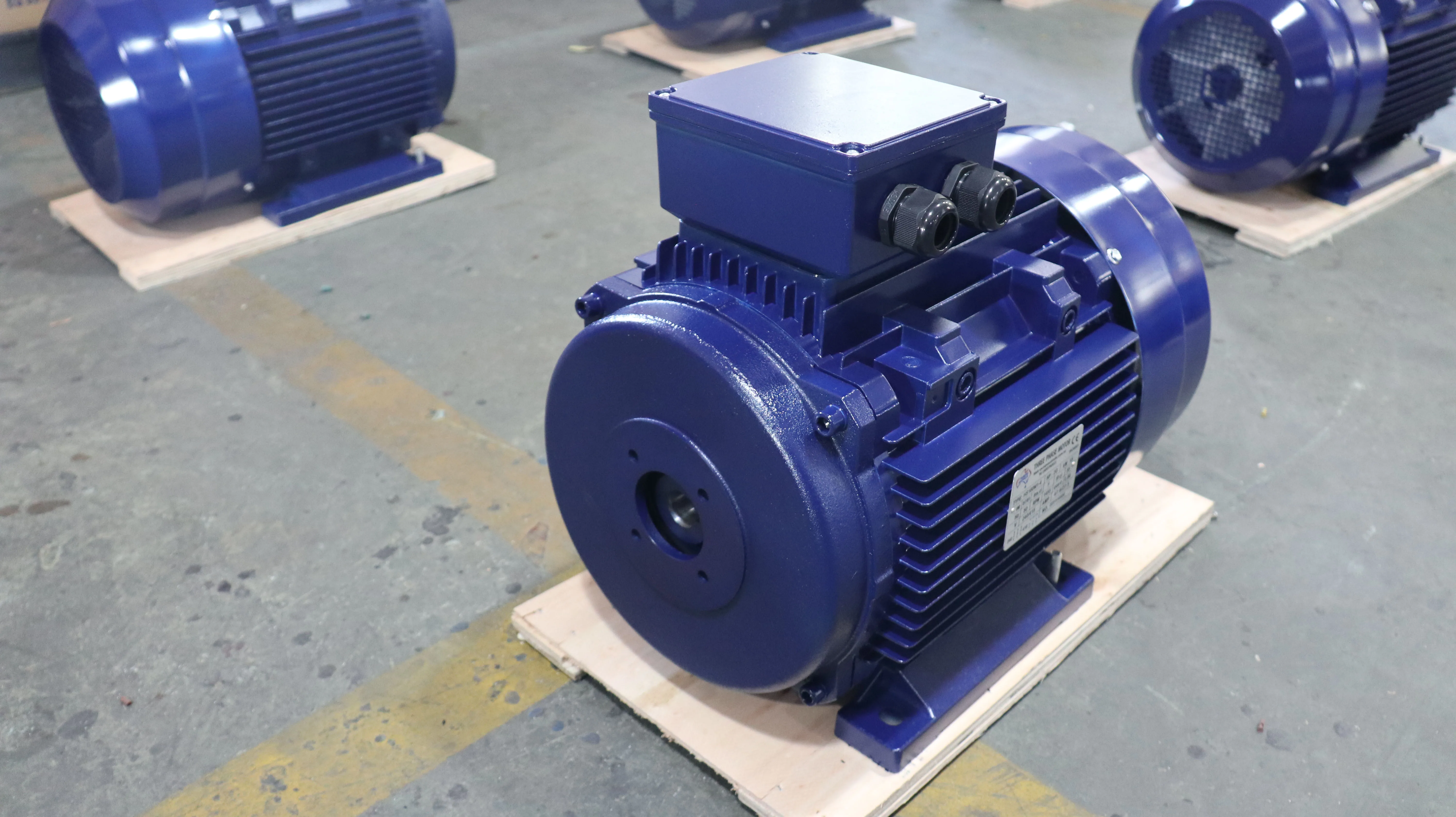 30HP 22KW AC Electric Induction Motors 24mm Hollow Shaft 1000rpm Three-Phase 50Hz Frequency 380V AC Aluminium 60Hz Enclosed 1