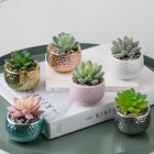 Faux Potted Plants Mini Faux Aloe Potted Plants Arrangements Potted Tropical Succulents Cactus Artificial Plants
