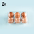 Plastic Tray 6 Plastic Pet Material Large Cheap Plastic Tray Plastic Box Container Egg Tray With 6 Cells STL-A06
