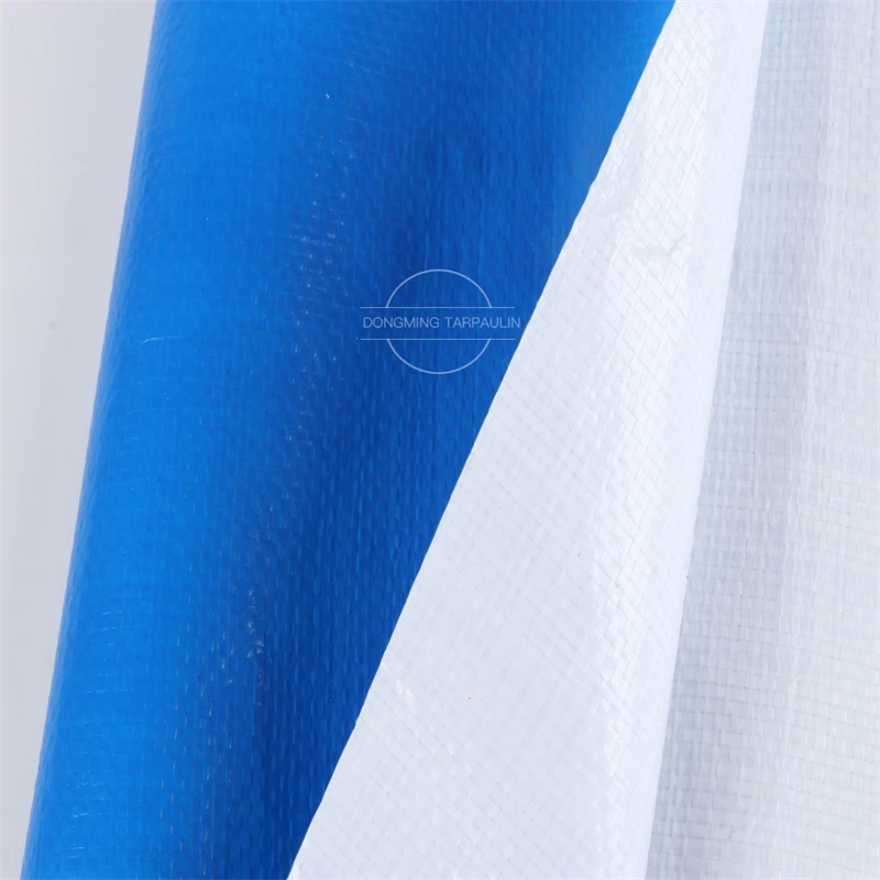 Tarpaulin Blue White (12).jpg