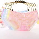 Wholesale Sexy Hollow Mesh Lace Panties Low Waist Womens Briefs Plus Size Underwear