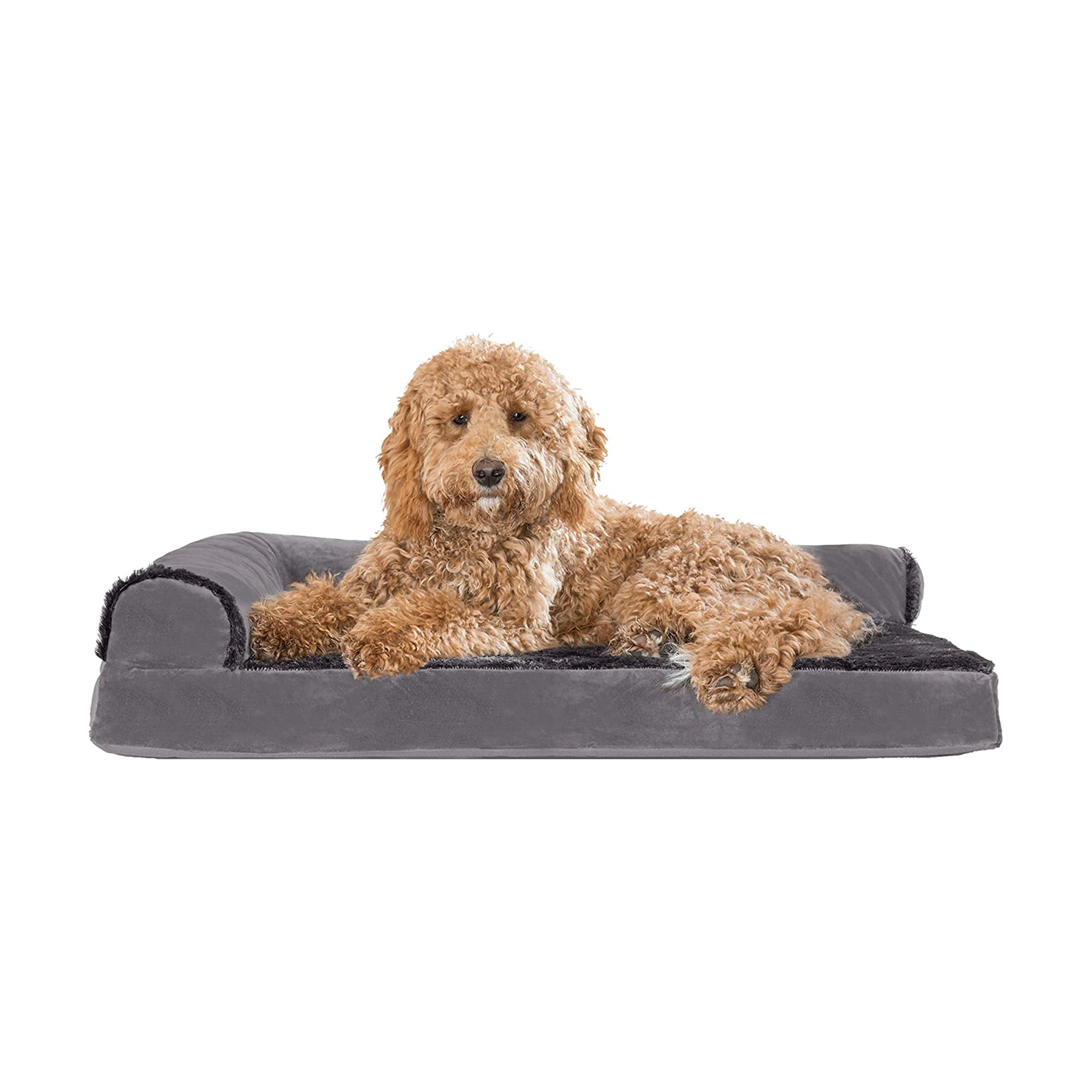 big lots dog beds