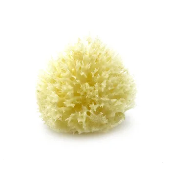 All natural honeycomb renewable soft real sponge sea wool sponge by bath & shower