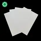 Paper Bulk Print Paper Profession Factory Art Paper C2S Coated Board Hi Bulk For Printing