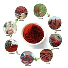 Pepper Flakes Wholesale Best Price Hot Dry Chili Crushed Red Pepper Flakes