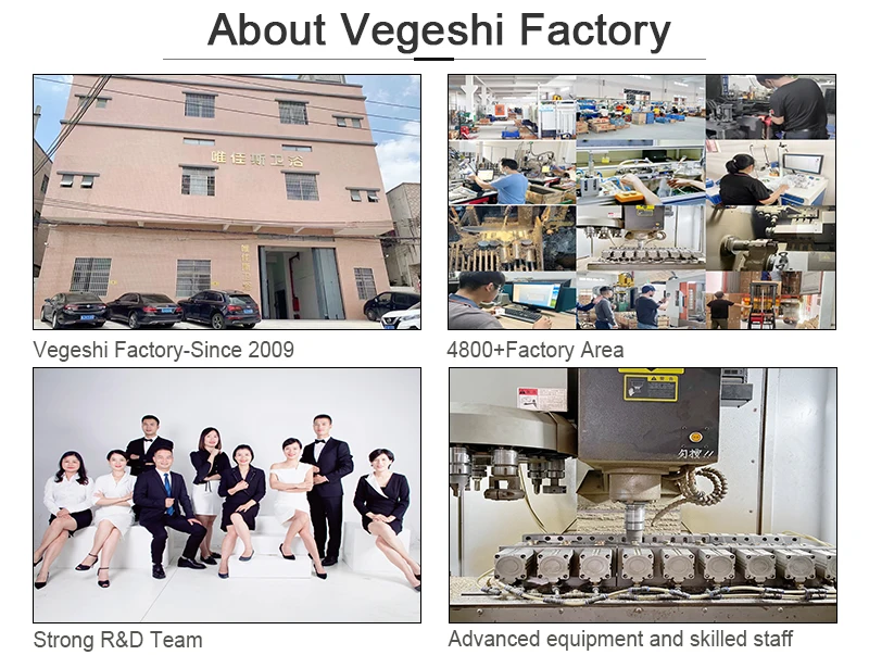 About Vegeshi FACTORY