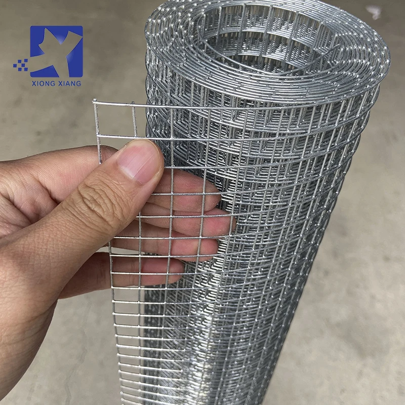 galvanized wire for bird cage