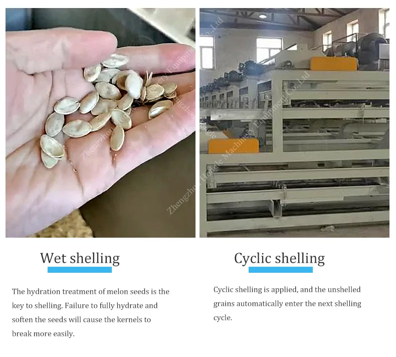 High Efficiency Pumpkin Seed Shelling Machine / Automatic Seed Peeling and Husk Removal Equipment factory