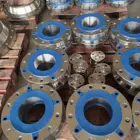 Din Customized Large Diameter Stainless Steel High Pressure High Strength Pipe Flanges FLANGE DIN PN16 PLATE RF SUS304 316